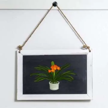 Thumb Tacks for Wall Hanging,Double Headed Picture Hangers Nails for Drywall,Push Pins Picture Photo Hanging for Home Office Hanging,Picture Photo Decorations (Black 20 Pcs)