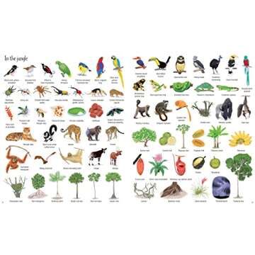 1000 Things in Nature (1000 Pictures)