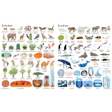 1000 Things in Nature (1000 Pictures)