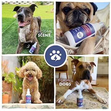 Vet Recommended Premium Dog Cologne & Perfume Deodorizing Spray - Long Lasting Puppy Safe Sensitive Skin Formula Made in USA - Grooming Odor Eliminator - Fresh Cucumber Melon Scent - Alcohol Free 4 oz