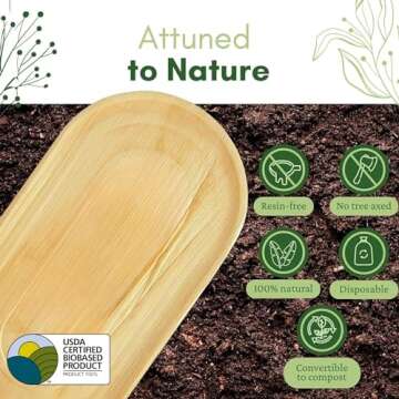 Dtocs Disposable Charcuterie Boards - Eco-Friendly Serving Trays