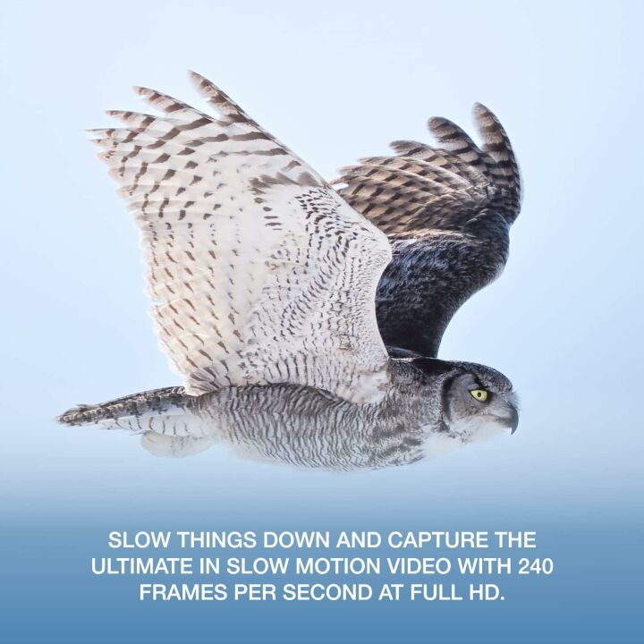 OM System OM-1 Camera & 12-40mm Lens Kit