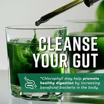 360 Nutrition Matcha Chlorophyll Liquid Drops with L-Theanine, Gluten Free & Vegan Internal Deodorant Supplement, Supports Gut Health, Digestion, Energy, Radiant Skin, Fast Absorption, 60 Servings