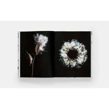 STILL: The Art of Noticing