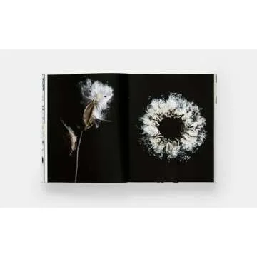 STILL: The Art of Noticing