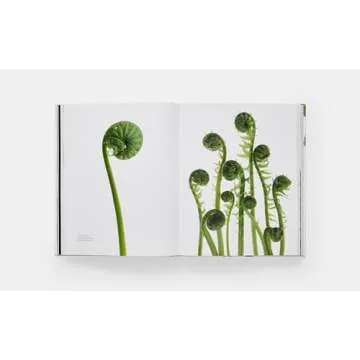 STILL: The Art of Noticing