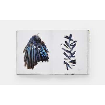 STILL: The Art of Noticing