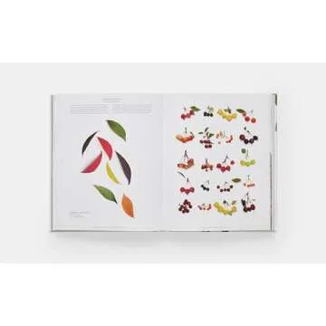 STILL: The Art of Noticing