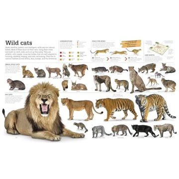 Picturepedia: Engaging Children's Encyclopedia for Learning