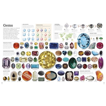 Picturepedia: Engaging Children's Encyclopedia for Learning