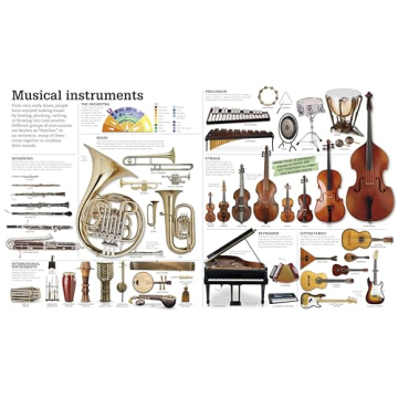 Picturepedia: Engaging Children's Encyclopedia for Learning