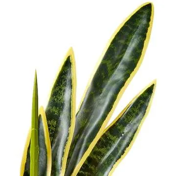 Realistic Artificial Snake Plant for Indoor Decor