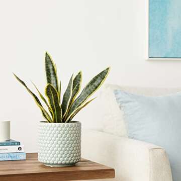 Realistic Artificial Snake Plant for Indoor Decor
