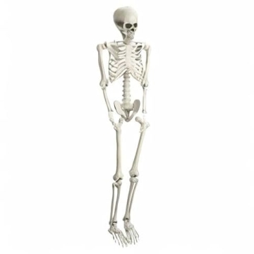5.4ft Poseable Skeleton Prop for Halloween Decor