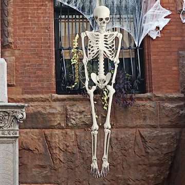 5.4ft Poseable Skeleton Prop for Halloween Decor