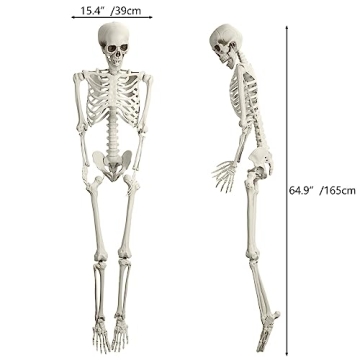 5.4ft Poseable Skeleton Prop for Halloween Decor