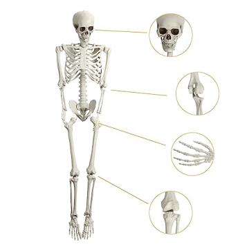 5.4ft Poseable Skeleton Prop for Halloween Decor