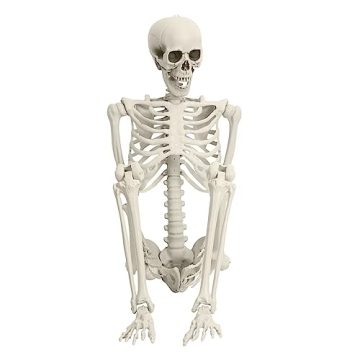 5.4ft Poseable Skeleton Prop for Halloween Decor
