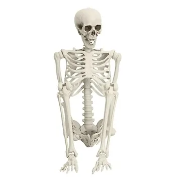 5.4ft Poseable Skeleton Prop for Halloween Decor