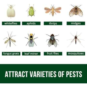 Garsum Fruit Fly Sticky Trap for Indoor and Outdoor, 36 Pack Fungus Gnat Killer for Houseplant,Mosquitos, Flying Insect, White Flies