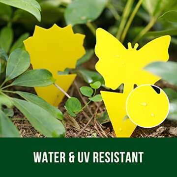 Garsum Fruit Fly Sticky Trap for Indoor and Outdoor, 36 Pack Fungus Gnat Killer for Houseplant,Mosquitos, Flying Insect, White Flies