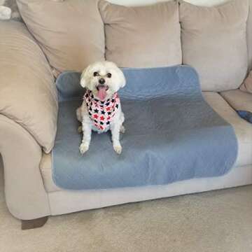 Kluein Pet Washable Pee Pads for Dogs, 2 Pack L 34x36 Grey, Reusable Puppy Pads, Fast Absorbing Wee Mat; for Playpen, Housebreaking, Indoor Potty Training, Whelping, Incontinence, Travel