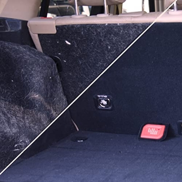 Lilly Brush Mini Pet Hair Detailer for Fur-Free Living