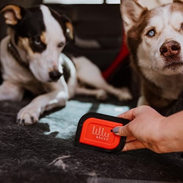 Lilly Brush Mini Pet Hair Detailer for Fur-Free Living