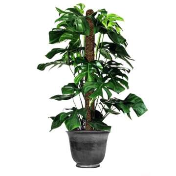 Mosser Lee Sphagnum Moss Pole for Indoor Plants