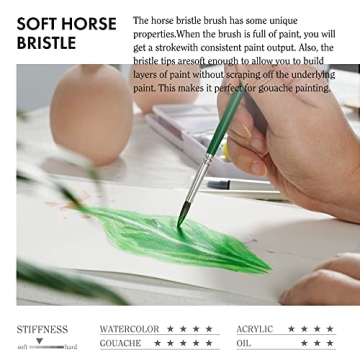 ARTIFY 41-Piece Long Handle Paint Brushes Set