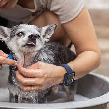 2 Pack Waterproof Case for Apple Watch 44mm with Screen Protector