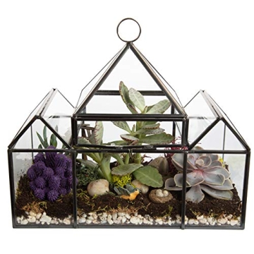 D'Eco Glass Castle Terrarium for Stylish Indoor Plants
