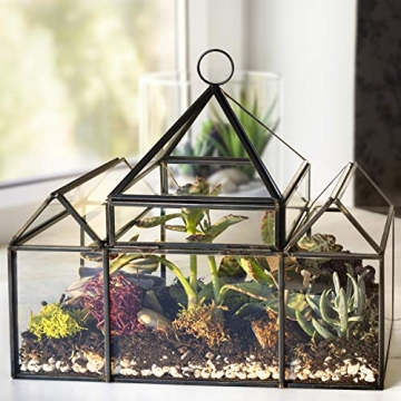 D'Eco Glass Castle Terrarium for Stylish Indoor Plants