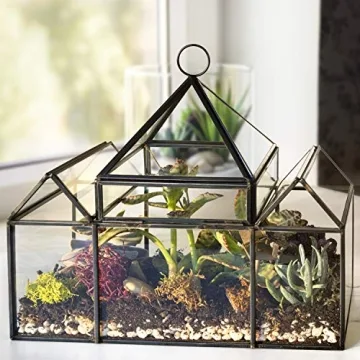 D'Eco Glass Castle Terrarium for Stylish Indoor Plants