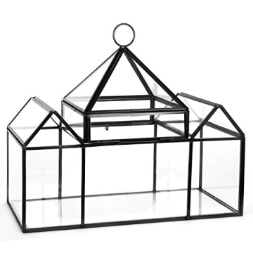 D'Eco Glass Castle Terrarium for Stylish Indoor Plants