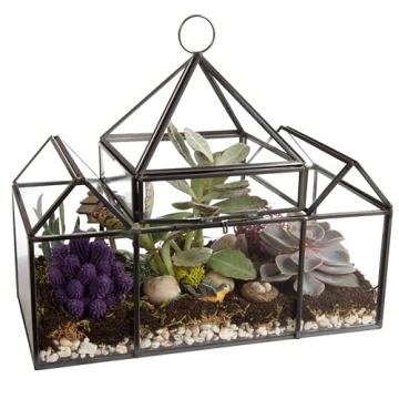 D'Eco Glass Castle Terrarium for Stylish Indoor Plants