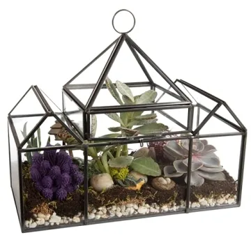 D'Eco Glass Castle Terrarium for Stylish Indoor Plants