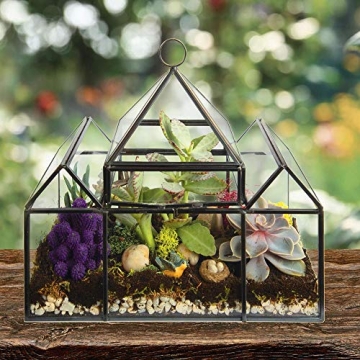D'Eco Glass Castle Terrarium for Stylish Indoor Plants
