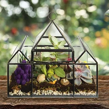 D'Eco Glass Castle Terrarium for Stylish Indoor Plants