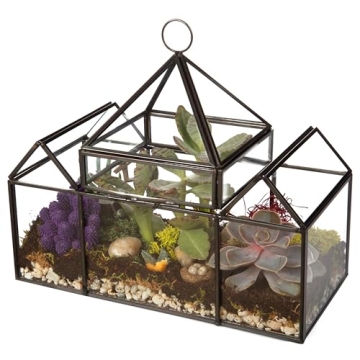 D'Eco Glass Castle Terrarium for Stylish Indoor Plants