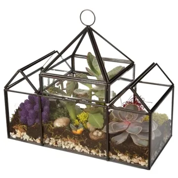 D'Eco Glass Castle Terrarium for Stylish Indoor Plants