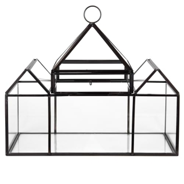 D'Eco Glass Castle Terrarium for Stylish Indoor Plants