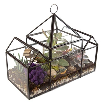 D'Eco Glass Castle Terrarium for Stylish Indoor Plants
