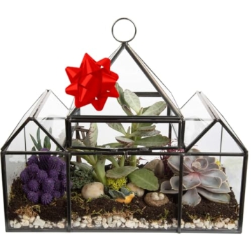D'Eco Glass Castle Terrarium for Stylish Indoor Plants