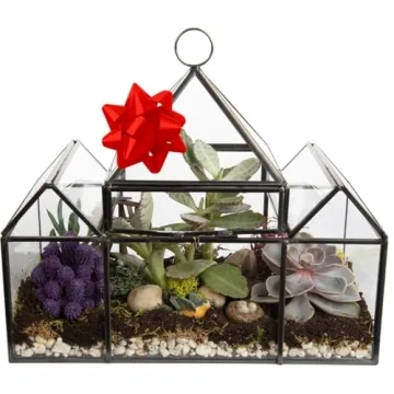 D'Eco Glass Castle Terrarium for Stylish Indoor Plants