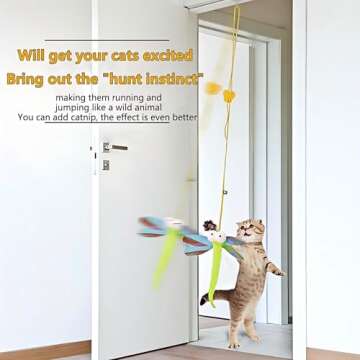 Kalimdor Interactive Cat Feather Toys 5pack,Retractable Teaser Toy,Hanging Interactive Toys for Indoor Cats Kitten Play Chase Exercise, Kitten Mental Exercise Toys