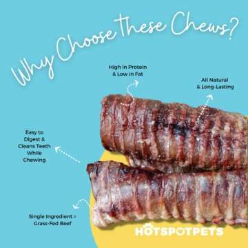 hotspot pets Premium 6'' Beef Trachea for Dogs Large - All Natural Long Lasting Dog Chews Rich in Gl...