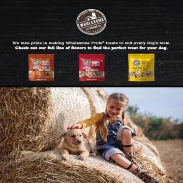 Wholesome Pride Sweet Potato Chews 100% All-Natural Single Ingredient Dog Treats, 8 oz