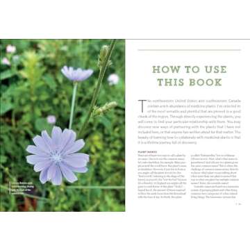 Northeast Medicinal Plants: Identify, Harvest, and Use 111 Wild Herbs for Health and Wellness (Medicinal Plants Series)