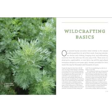 Northeast Medicinal Plants: Identify, Harvest, and Use 111 Wild Herbs for Health and Wellness (Medicinal Plants Series)